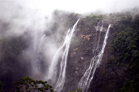 Agumbe – Rainforest – Kedar Bhide