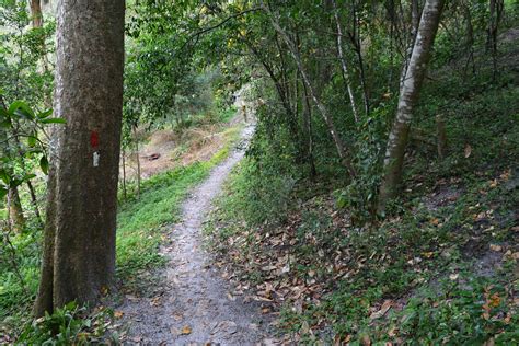 Hiking Ravine Gardens – Florida Hikes