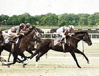 Pin by M.Fanny2004 on Ruffian race horse | Ruffian, Horses, Animals