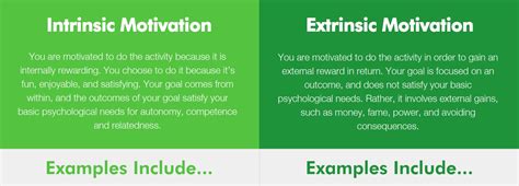 Extrinsic Motivation Examples