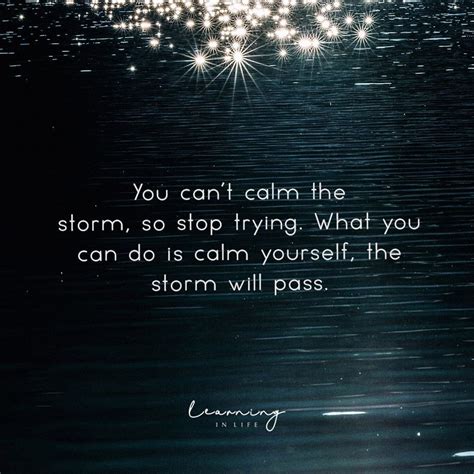 You can't calm the storm, so stop trying. What you can do is calm yourself, the ... | 1000 ...