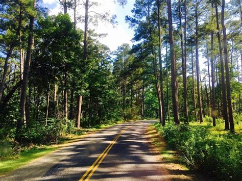 Best Hidden Destination In Texas: Tyler State Park