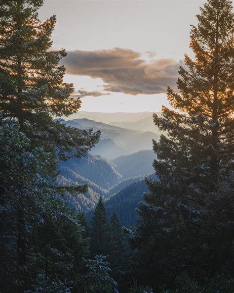 Looking out over the Coastal Range of Oregon [OC] [1728x2160] : r/EarthPorn