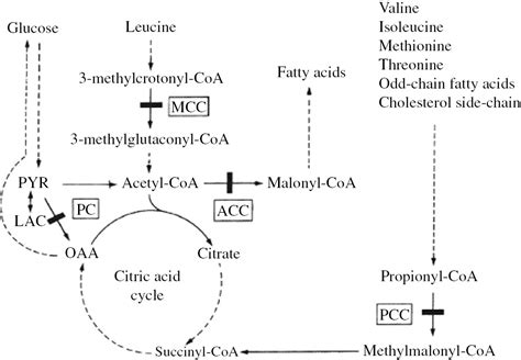 Investigation of alanine, propionylcarnitine (C3) and 3 ...