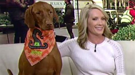 Dana Perino talks with Greg Gutfeld about 'Let Me Tell You About Jasper ...