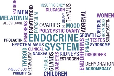 5 Types of Endocrine Disorders - Health One Family Medicine