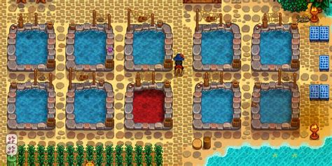 Best Fish Pond Fish In Stardew Valley