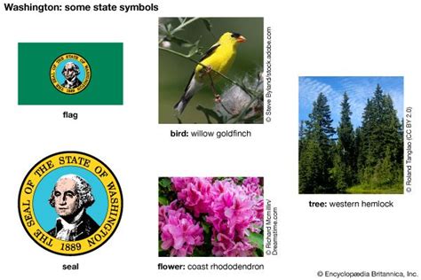 Washington state symbols - Kids | Britannica Kids | Homework Help