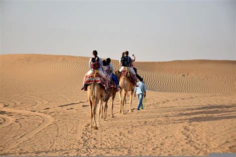 What to Expect on an Abu Dhabi Desert Safari - Abu Dhabi Desert Safari