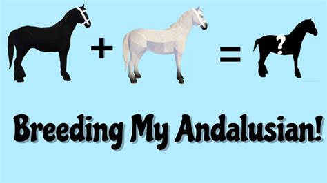 Breeding my Andalusian| Horse Valley Roblox!!! - YouTube