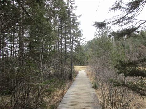 Best Hiking Trails in Algonquin Park 2023