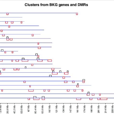 Gene clusters with background. Chromosome locations of gene clusters... | Download Scientific ...