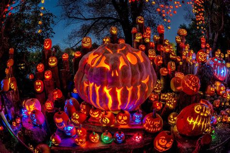 6 Spectacular Pumpkin Displays to Put You in the Halloween Spirit