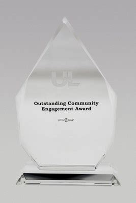 Outstanding Community Engagement Awards — Vice President for Community ...