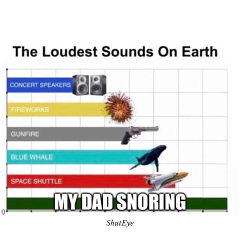 30 Funny Ways to Describe Snoring - Snoring Memes Collection