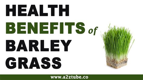 Health Benefits of Barley Grass - YouTube