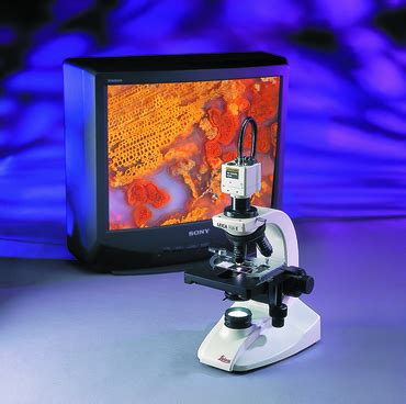 BM E Microscope with Superior Optics - Media | Products | Leica Microsystems