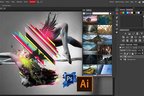 Adobe Illustrator y Adobe Photoshop