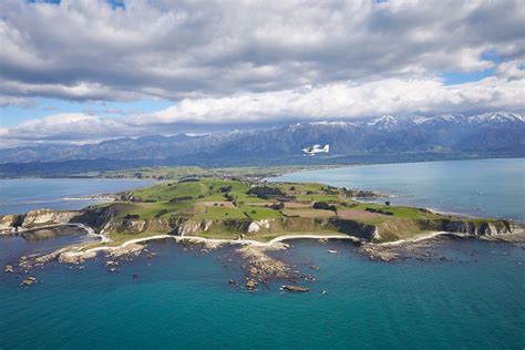 Whale Watching Flights - Air Kaikoura Aero Club, New Zealand