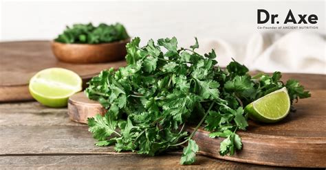 50 Unbelievable Benefits of Coriander: Ultimate Guide 2023