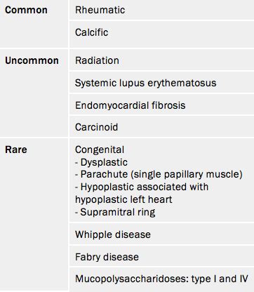 Mitral Valve Stenosis Pathophysiology