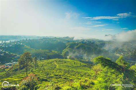 Single Tree Hill Temple - The Temple of Tropical Paradise - 360View.lk - Explore The Beauty of ...