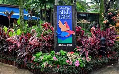 Singapore's Jurong Bird Park has the largest number of birds of any ...