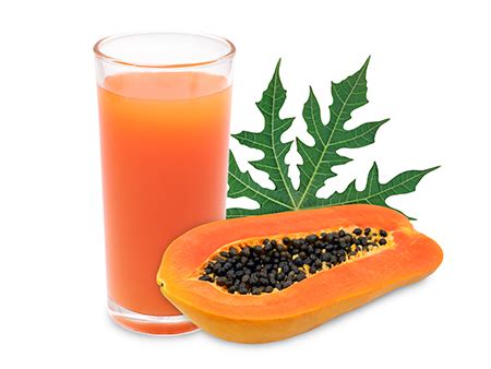 10 Amazing Papaya Juice Benefits