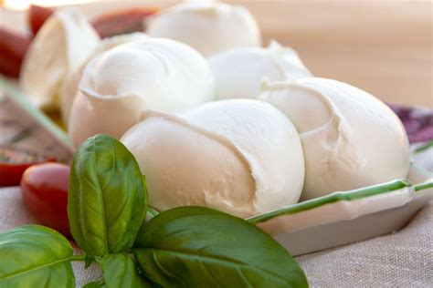 Aprende a preparar tu propio queso mozzarella casero incluye receta ...