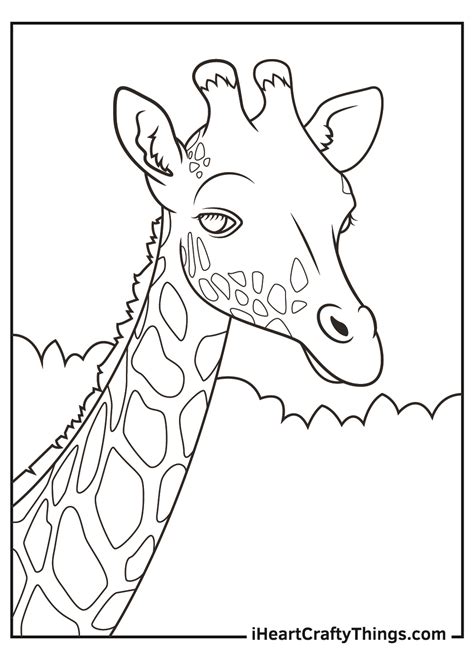 Printable Realistic Animals Coloring Pages (Updated 2021)