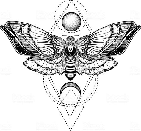 black and white deadhead butterfly on sacred geometry vector... | Moth ...