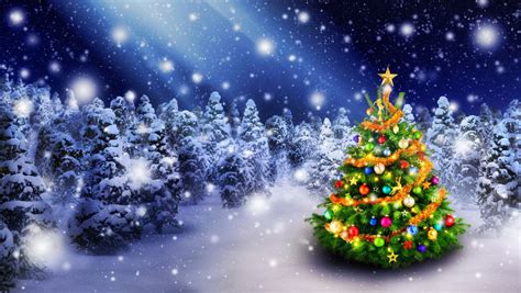 Download Night Christmas Tree Forest Snow Holiday Christmas HD Wallpaper