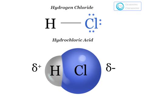 Common Acid Hcl