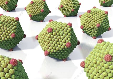 Icosahedral virus particles, artwork - Stock Image - C009/5044 ...