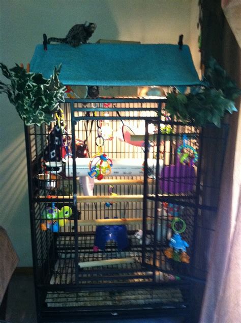 Marmoset Monkey Cages