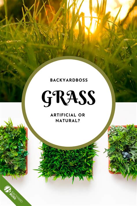 Artificial vs Real Grass: What Are The Best Choices For Your Yard ...