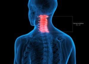 C2 Spinal Cord Injury: Symptoms, Treatment, and Prognosis - Flint Rehab