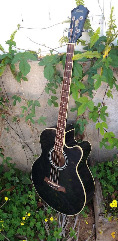 Ibanez AEB5E-BK – Moze Guitars