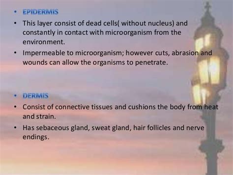 Skin microflora / Normal Flora of Skin