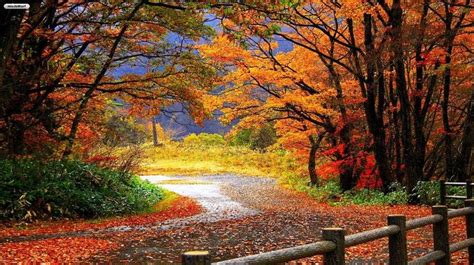 Gambar Musim Gugur Yang Indah | Scenery wallpaper, Autumn landscape, Nature wallpaper