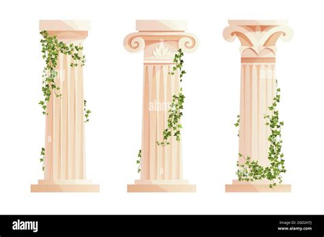 Ancient Greek column with ivy climbing branches. Roman pillar. Building ...