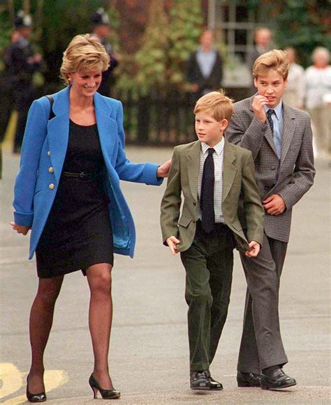 Princess Diana Photos Show Her With Young William And Harry