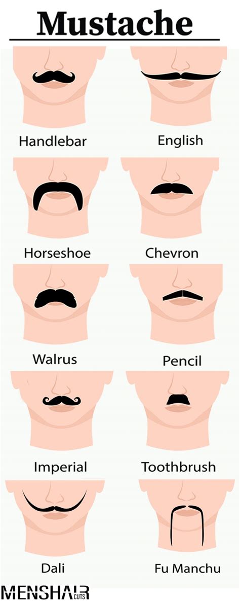 40 Top Mustache Styles: A Guide To Facial Hair Fashion