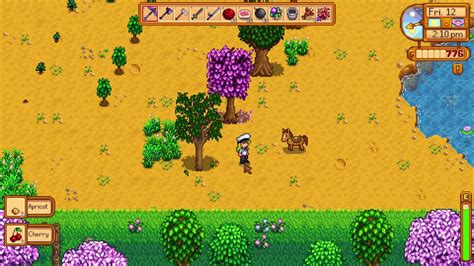 How to get Apricots - Stardew Valley - YouTube