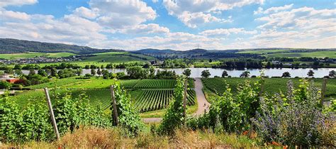 View from the Zellerberg in Longen over the Moselle Mixed Media by Petra Koehler Rose - Fine Art ...