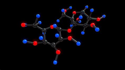 Maltose - Download Free 3D model by arloopa [5d76df2] - Sketchfab