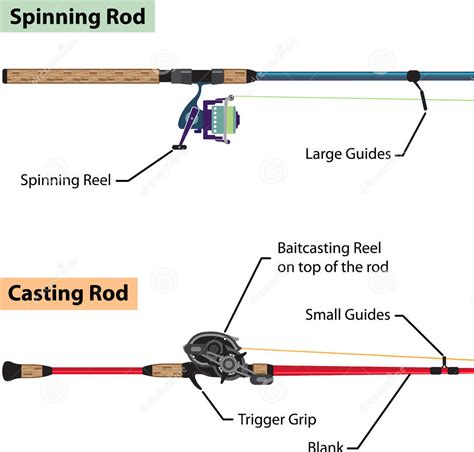 What Is Spinning Rod And Casting Rod? – FishHuntGear