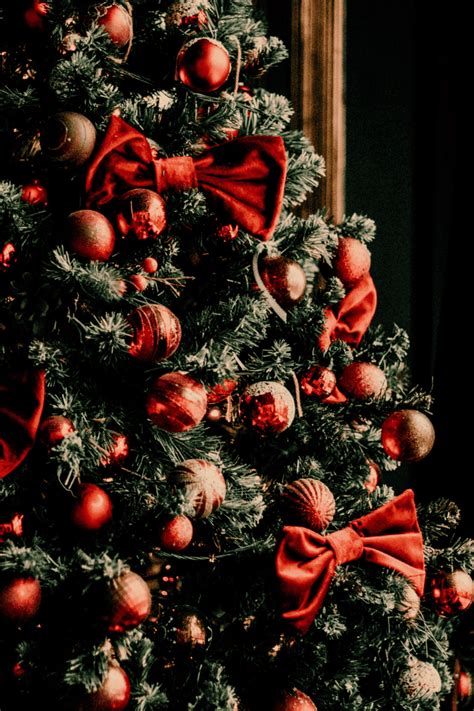 Traditional Christmas Tree Ideas For A Classic, Timely Look