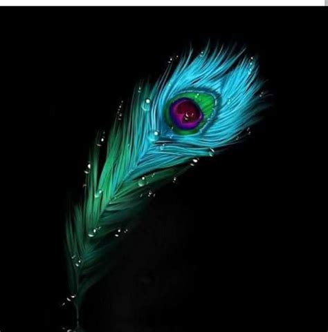 Peacock Feather Iphone Black Krishna Hd Wallpaper - Goimages Ify