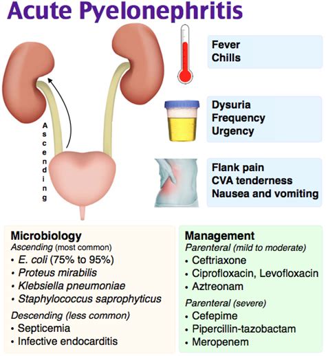 Chronic Kidney Disease & Kidney Stones